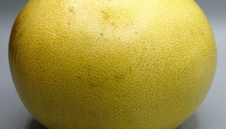 Organic Pomelo Fruit