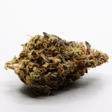 Solomon Grundy – High TAC – Hybrid Cannabis Flower